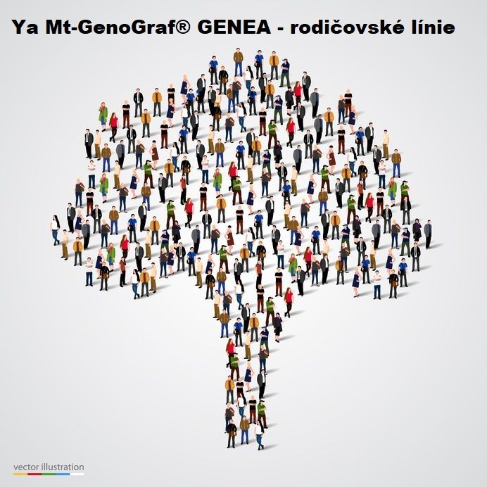 Y a  Mt - Genograf Genea test - rodičovské línie